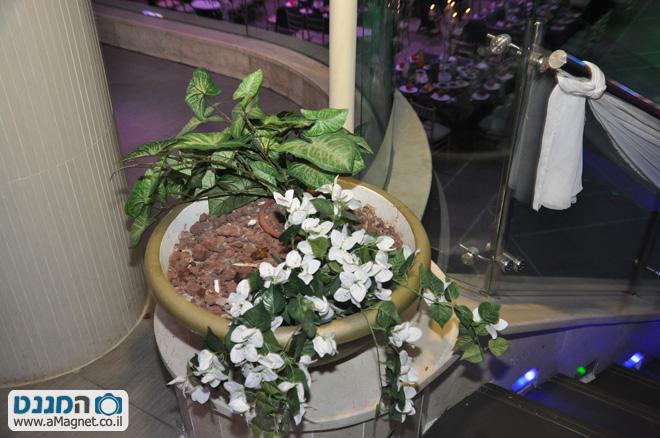 תמונה גדולה